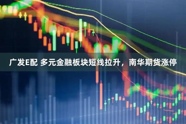 广发E配 多元金融板块短线拉升，南华期货涨停