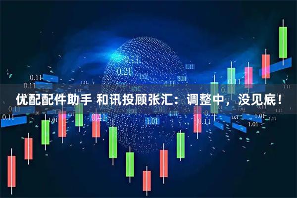 优配配件助手 和讯投顾张汇：调整中，没见底！