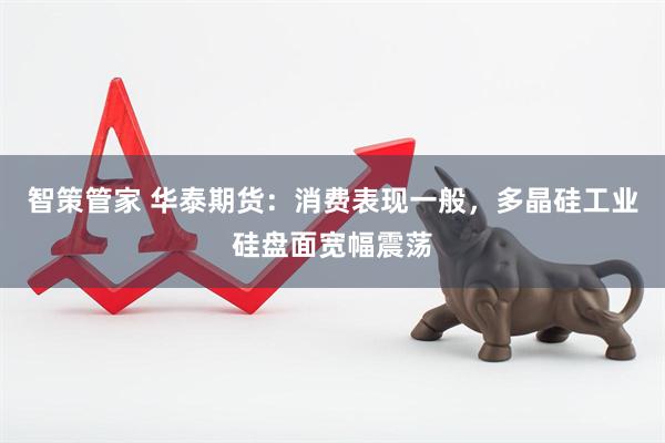 智策管家 华泰期货：消费表现一般，多晶硅工业硅盘面宽幅震荡