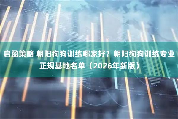 启盈策略 朝阳狗狗训练哪家好？朝阳狗狗训练专业正规基地名单（2026年新版）