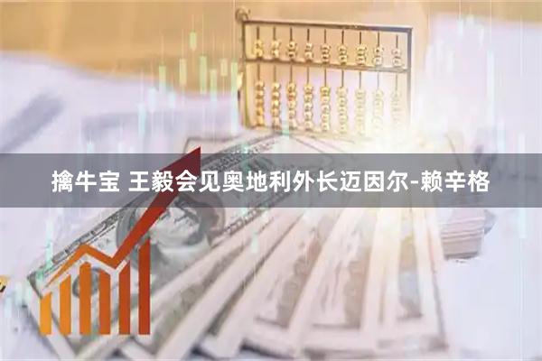 擒牛宝 王毅会见奥地利外长迈因尔-赖辛格