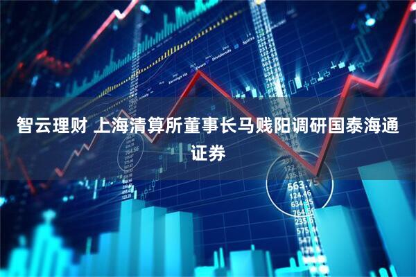 智云理财 上海清算所董事长马贱阳调研国泰海通证券